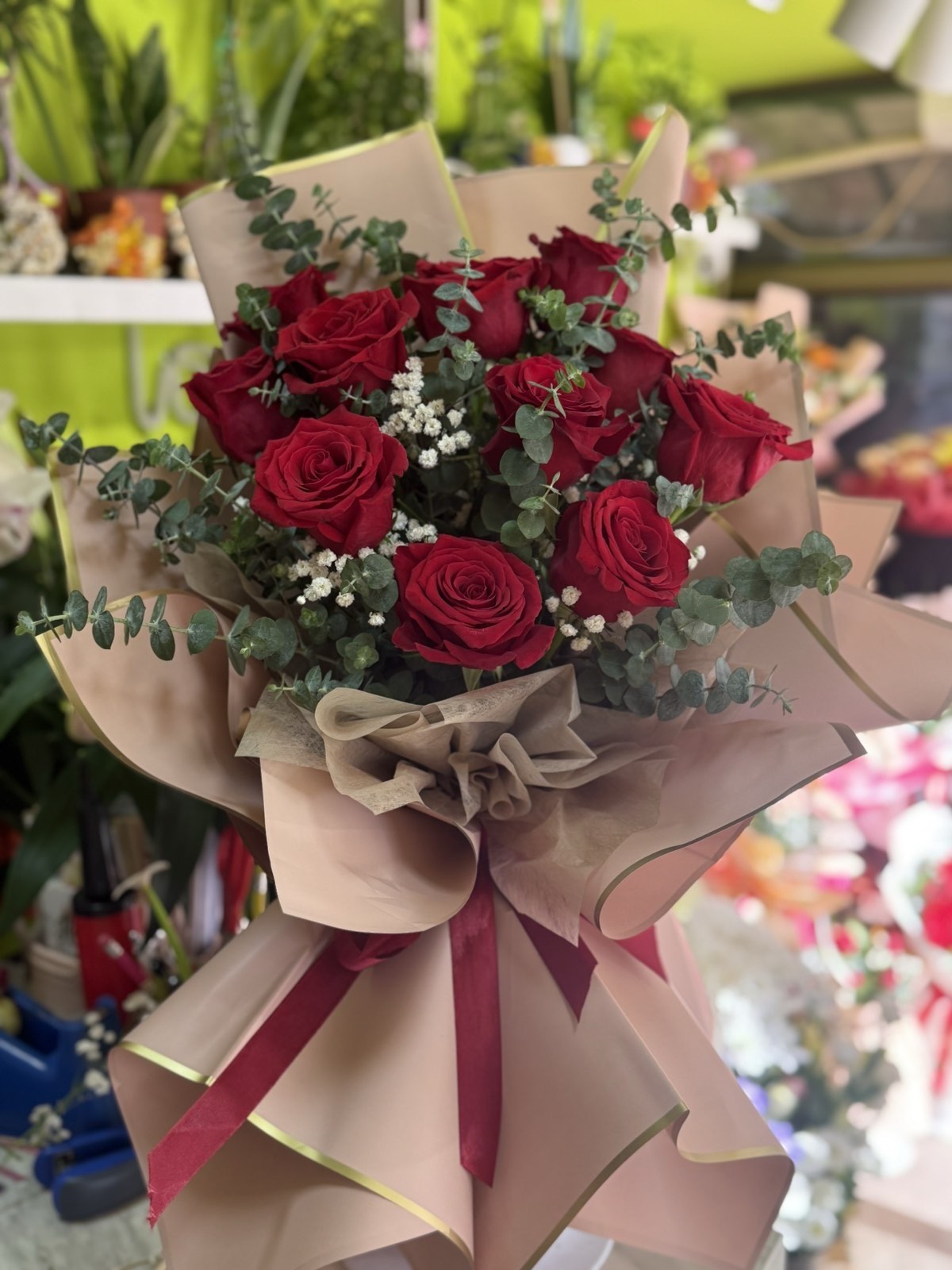 cveceara tan felicita nis